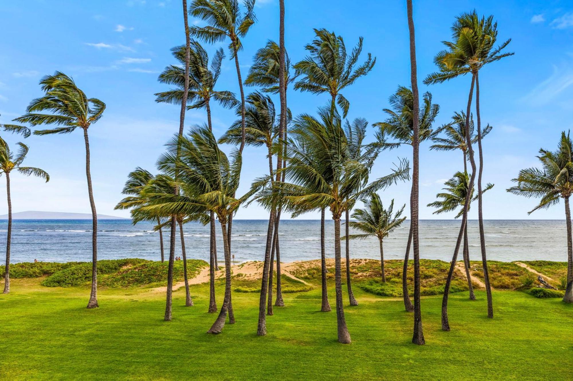 Villa Hale Kai O'Kihei 118 Esterno foto