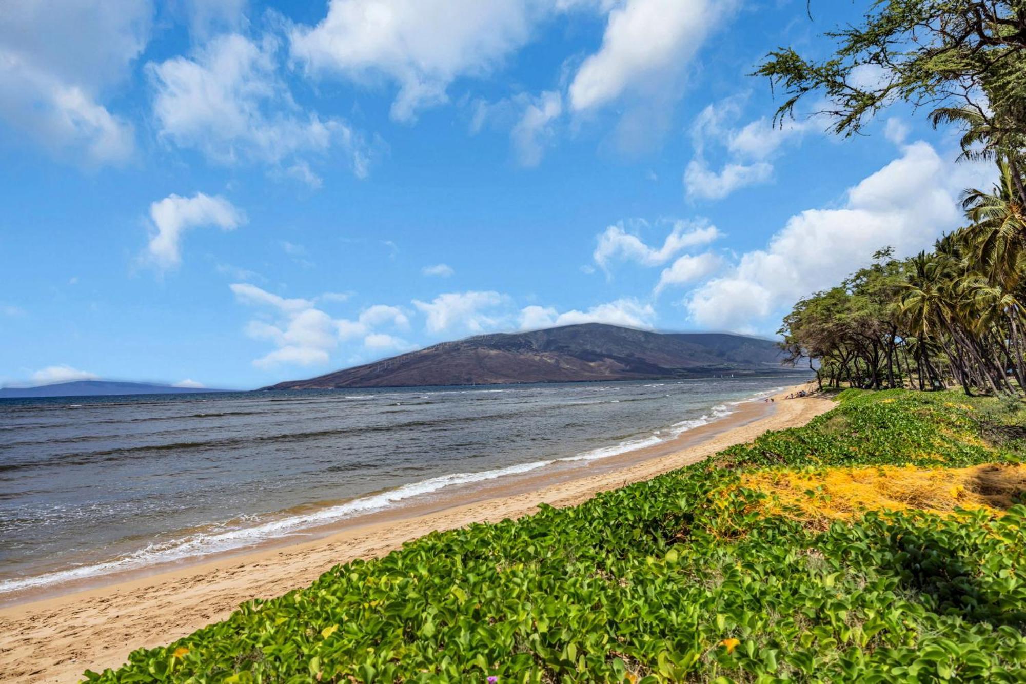 Villa Hale Kai O'Kihei 118 Esterno foto