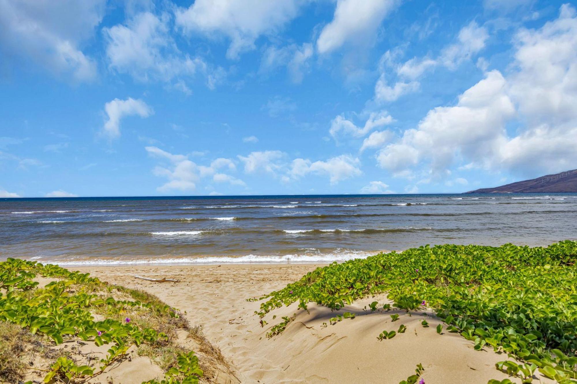 Villa Hale Kai O'Kihei 118 Esterno foto