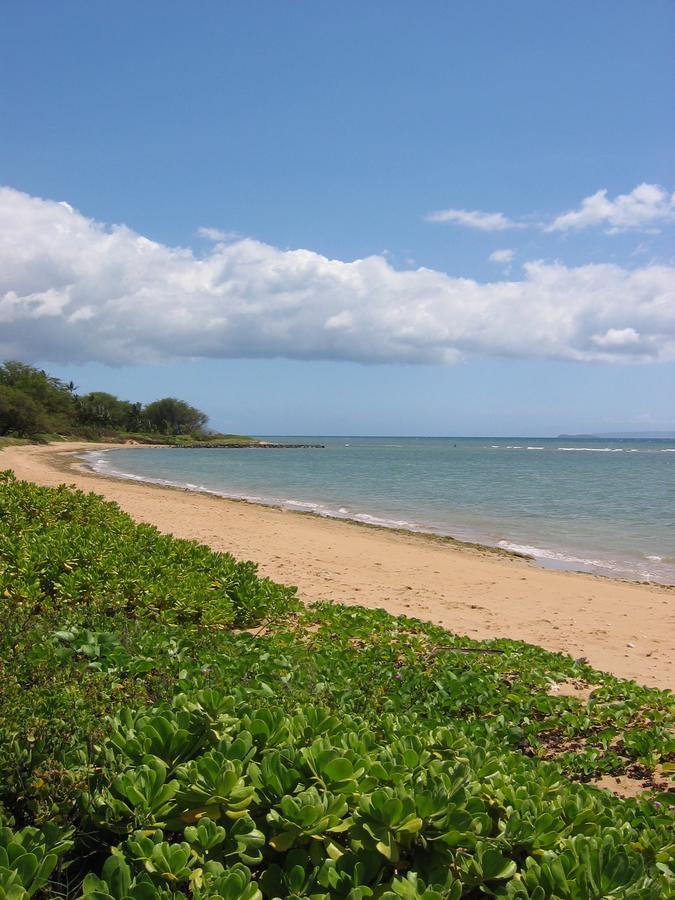 Villa Hale Kai O'Kihei 118 Esterno foto